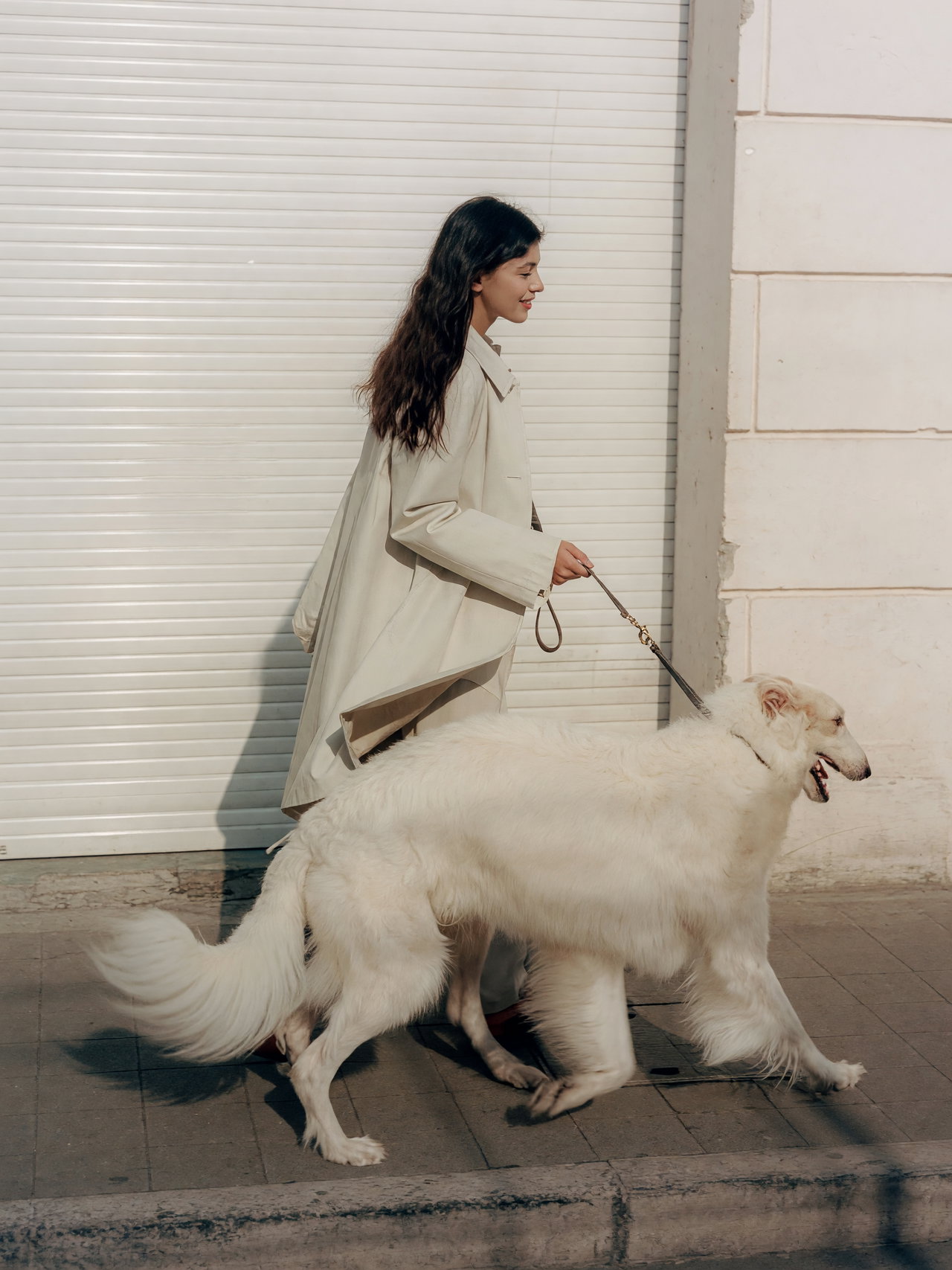 Fashion Model Walking Fluffy White Dog