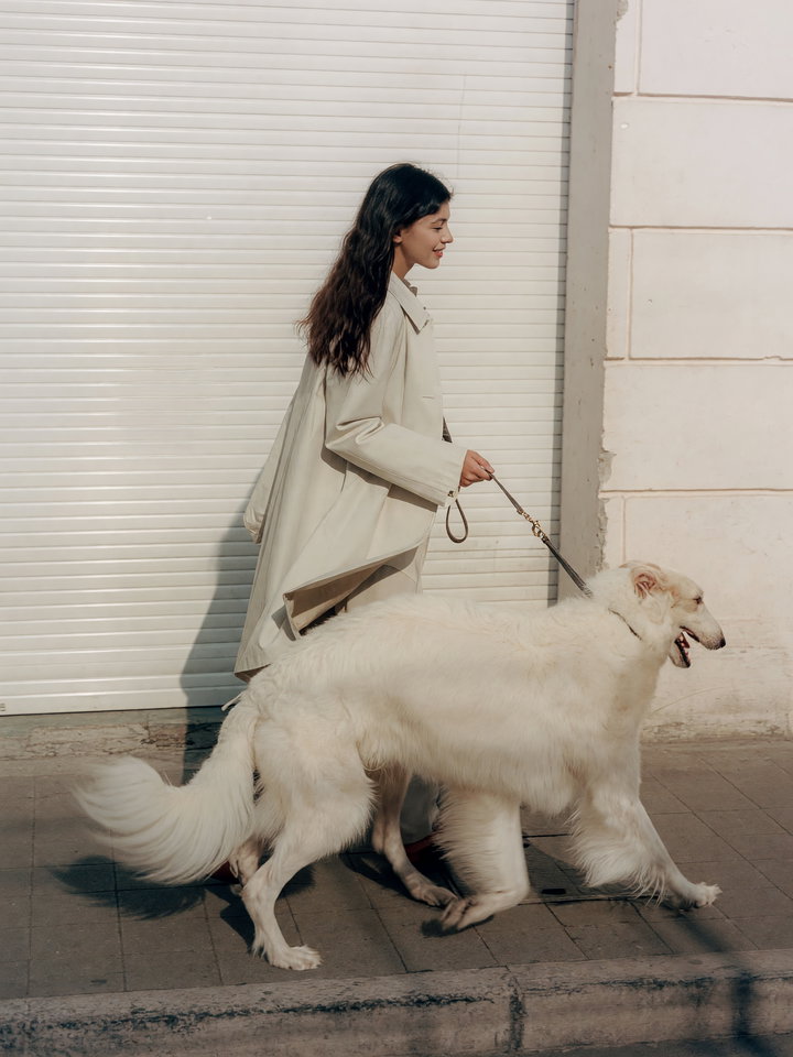 Fashion Model Walking Fluffy White Dog