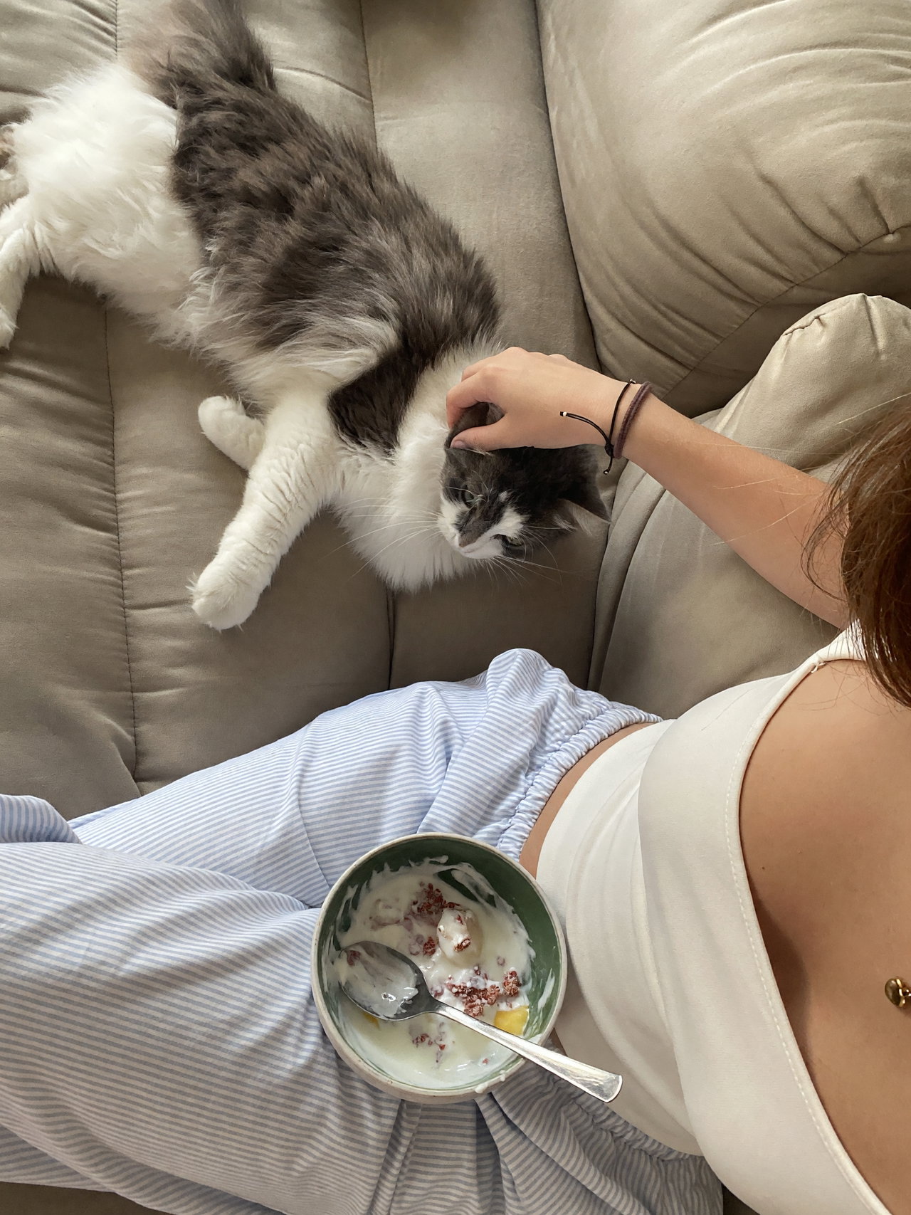 Cozy Indoor Relaxation with Cat and Yogurt