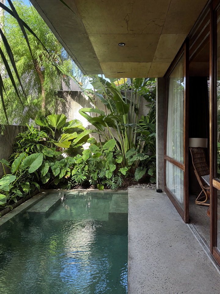 Tranquil Indoor-Outdoor Pool with Tropical Foliage