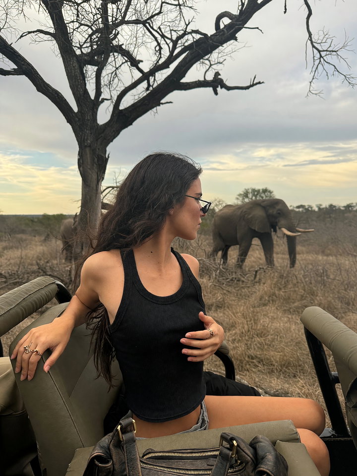 Young Woman in Safari Vehicle with Elephant in Background