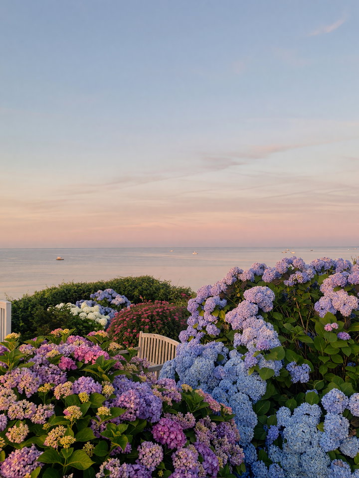 Seaside View with Vibrant Hydrangeas at Golden Hour