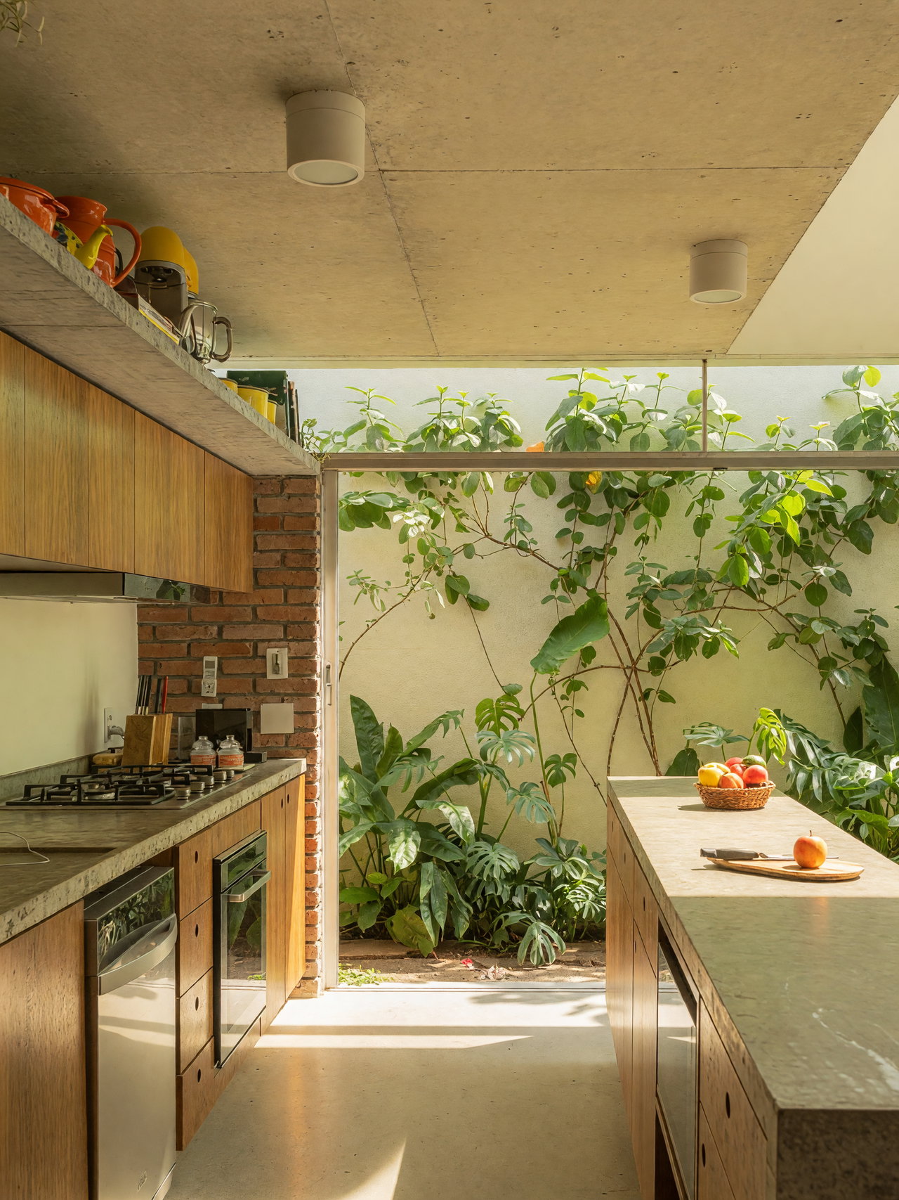 Bright Modern Kitchen with Indoor Garden