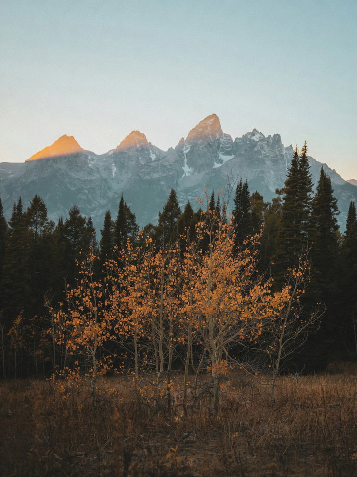 Grand Teton Mountains at Dusk with Fall Colors