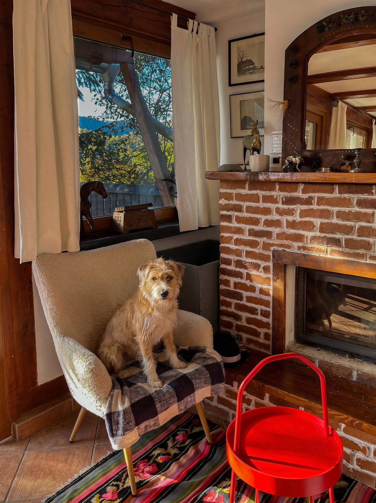 Tan and White Terrier Mix on Armchair