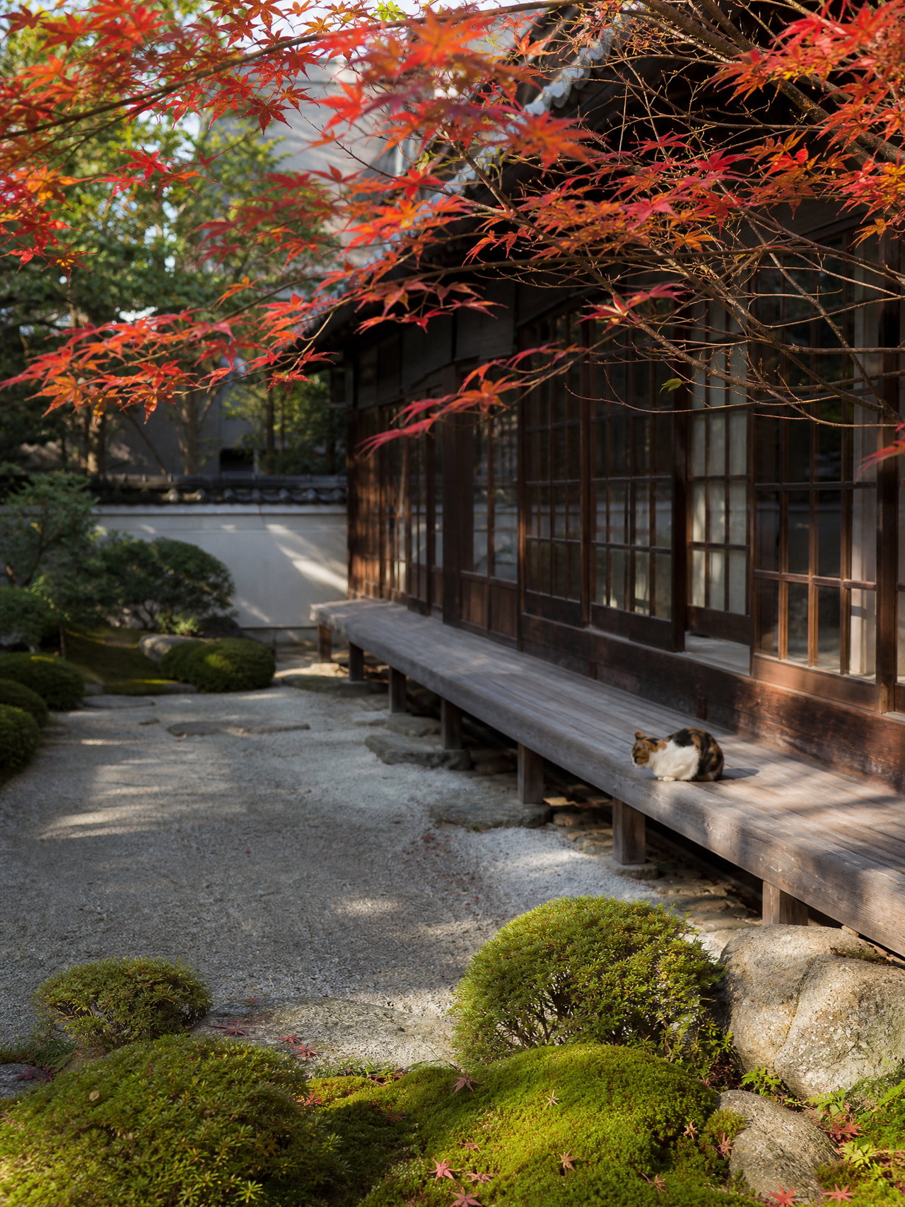 Kyoto Townhouse with Japanese Maple and Moss Garden