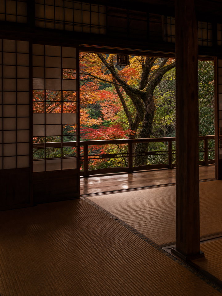 Autumn Garden View from Kyoto Temple Room