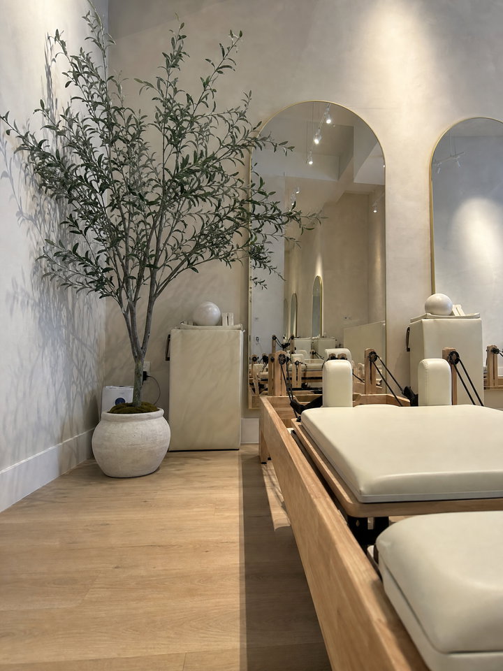 Pilates Studio Corner with Olive Tree