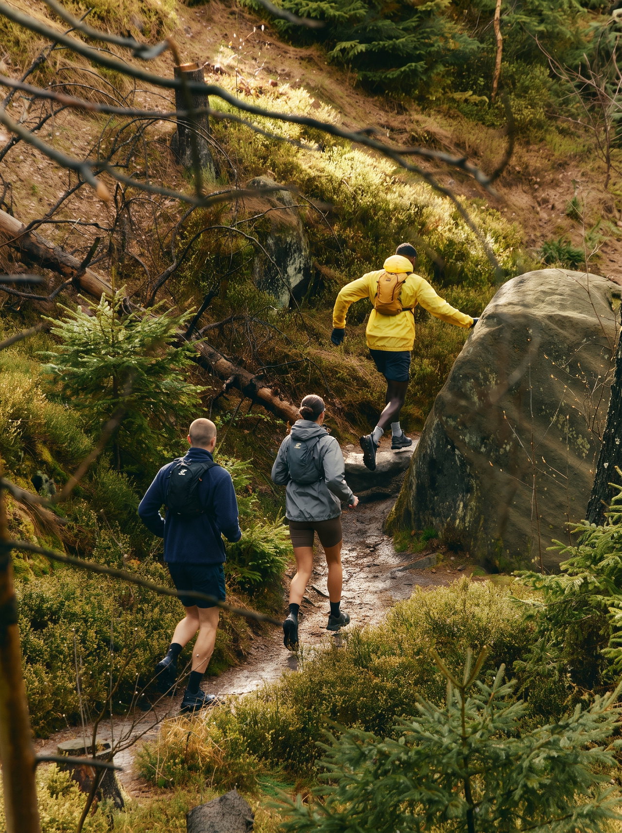 Group of Hikers on Forest Trail