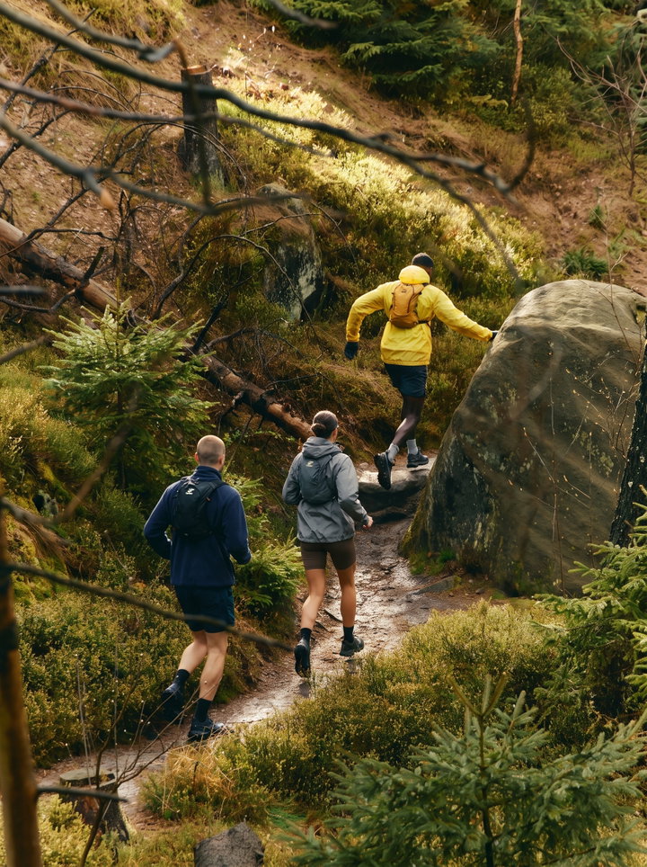 Group of Hikers on Forest Trail