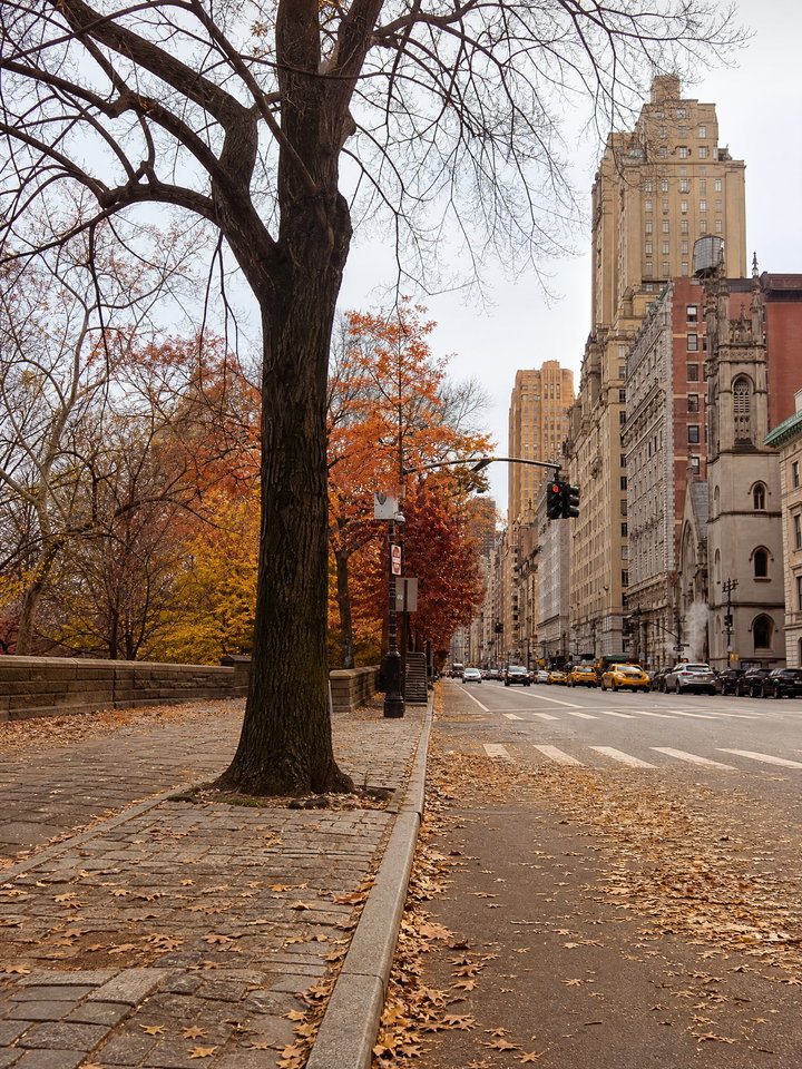 Autumn Street View on Upper East Side