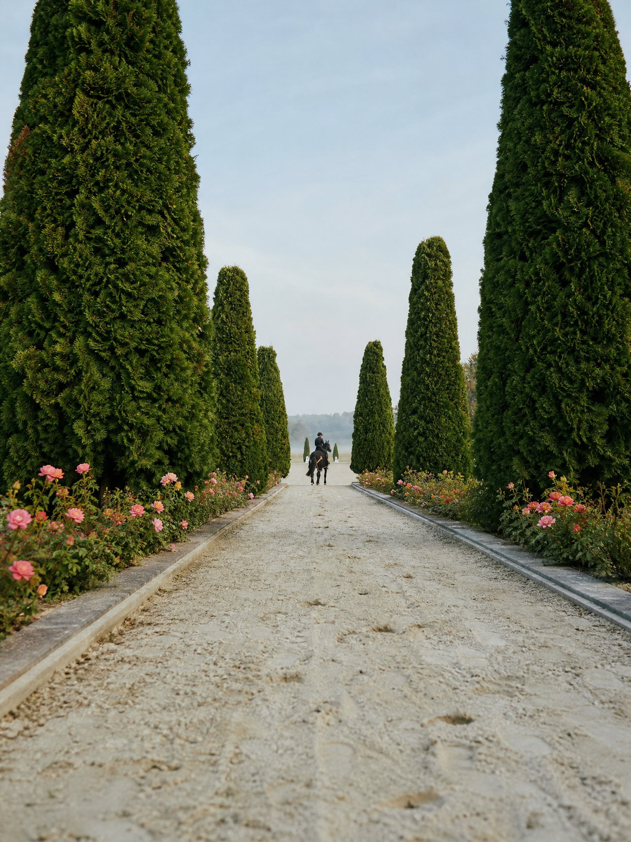 Cypress-Lined Pathway with Rider