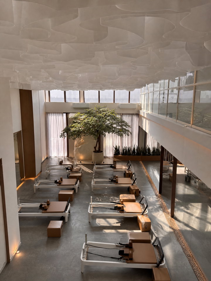 Pilates Studio Atrium with Indoor Tree