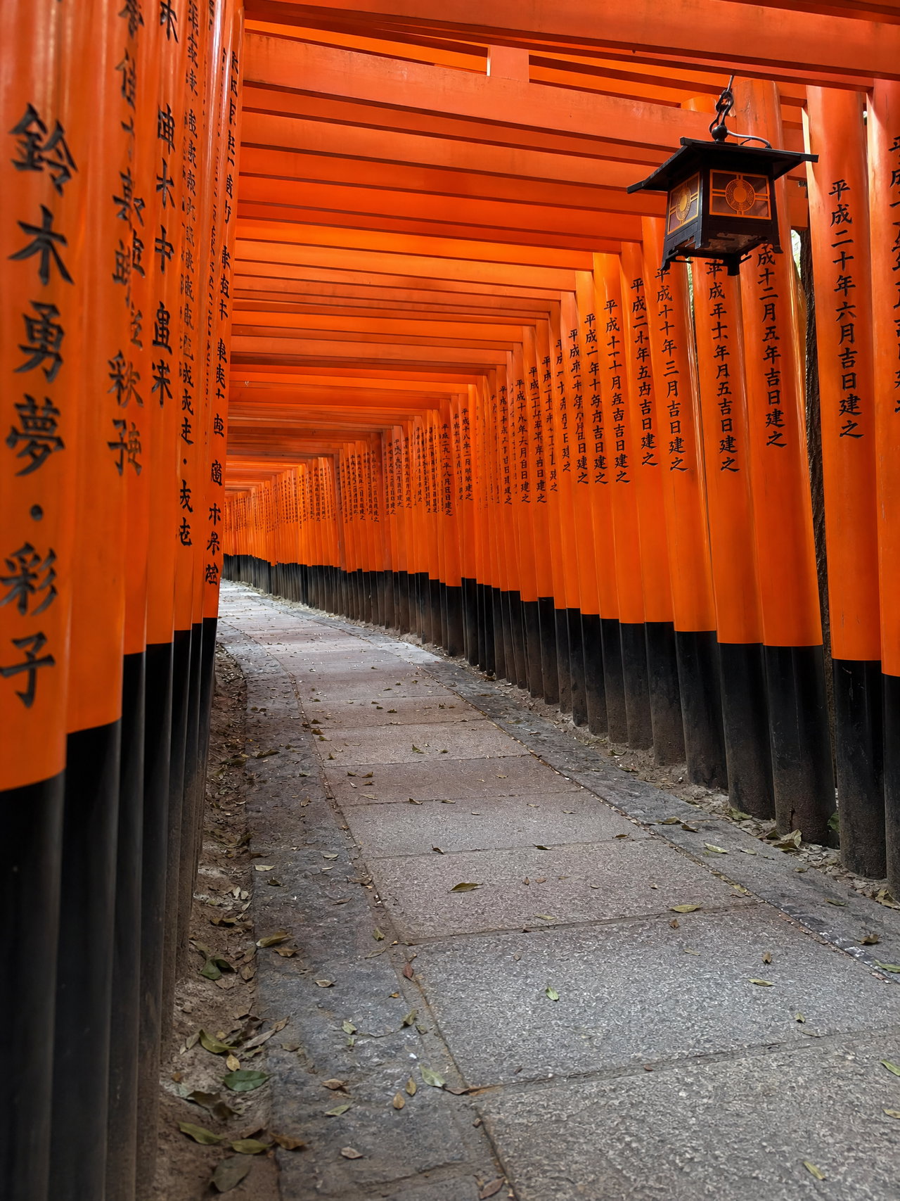 Pathway Through Fushimi Inari Torii Gates
