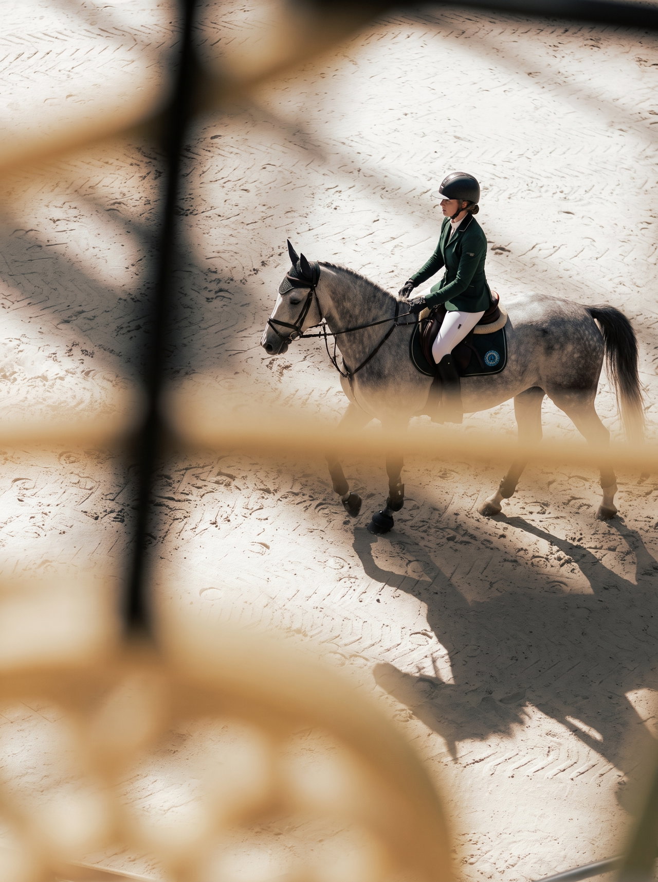 Show Jumping Rider on Grey Horse