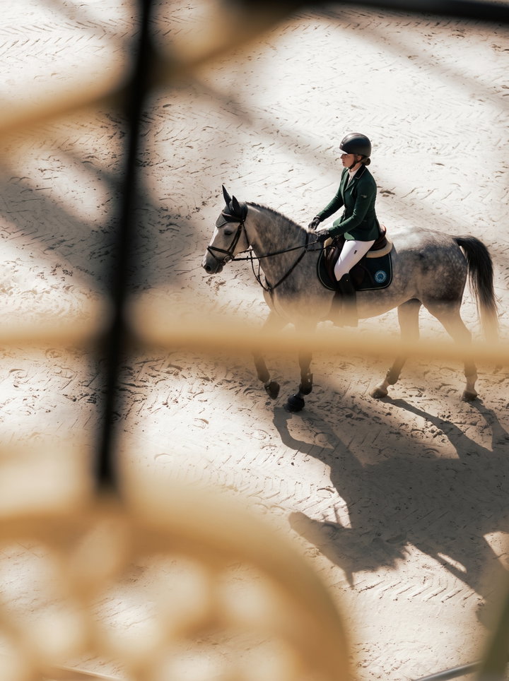 Show Jumping Rider on Grey Horse
