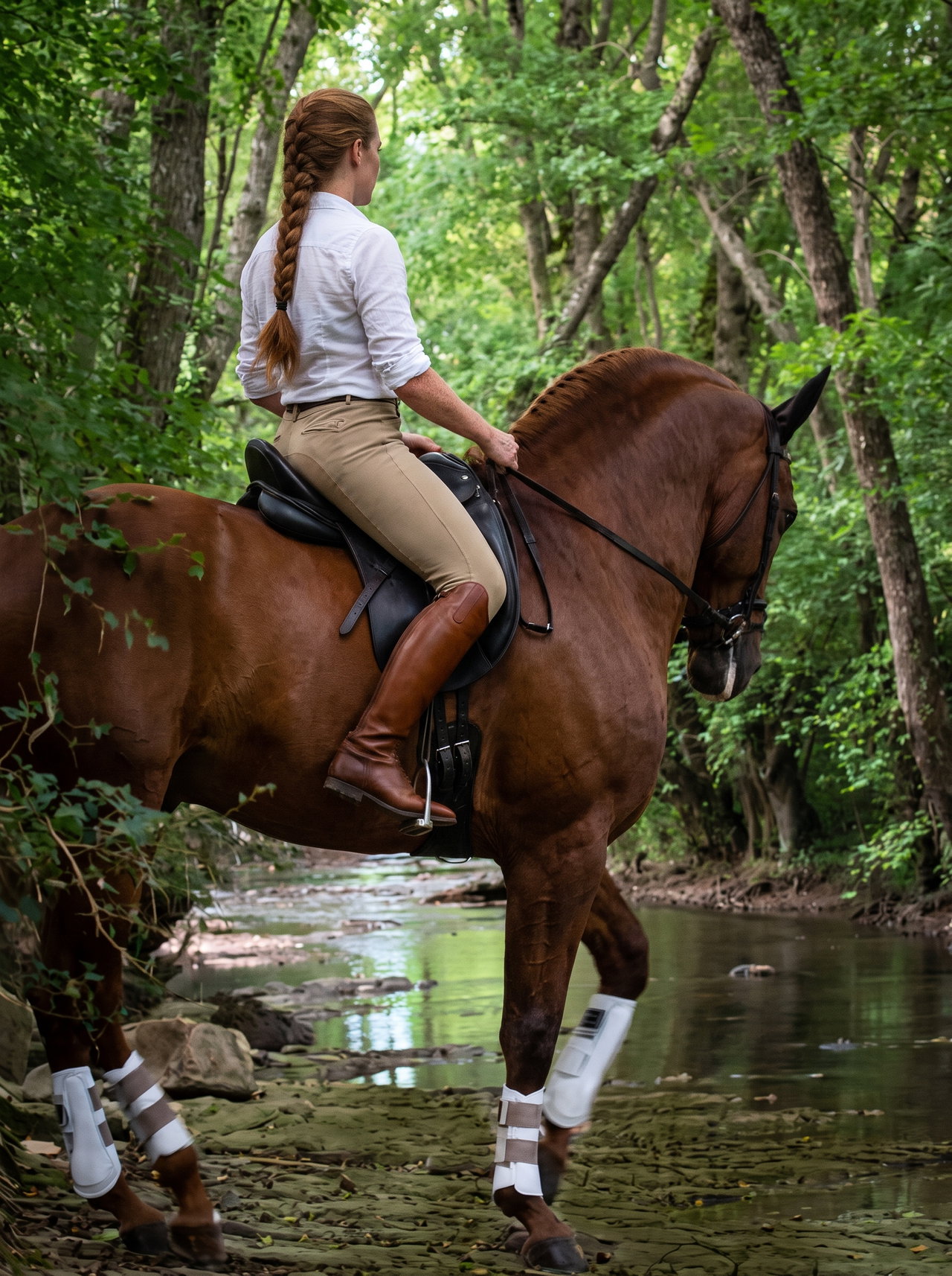 Rider on Chestnut Horse in Forest Stream