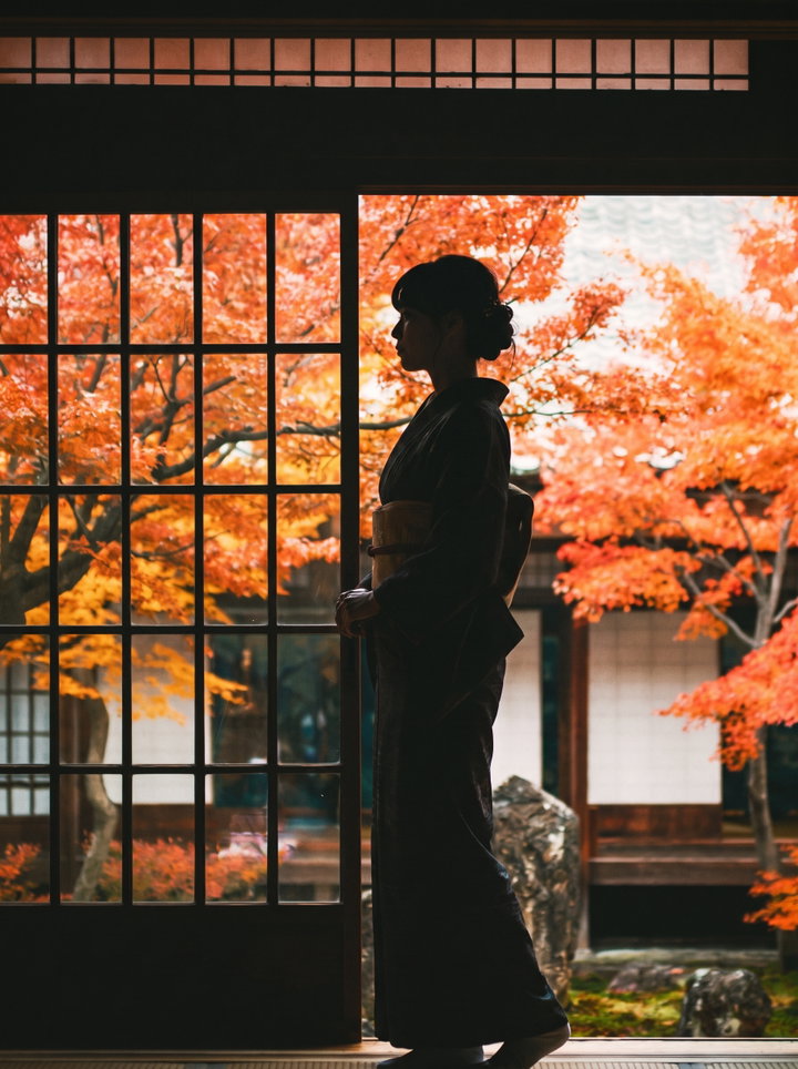 Silhouette of Woman in Kimono at Kyoto Temple Window
