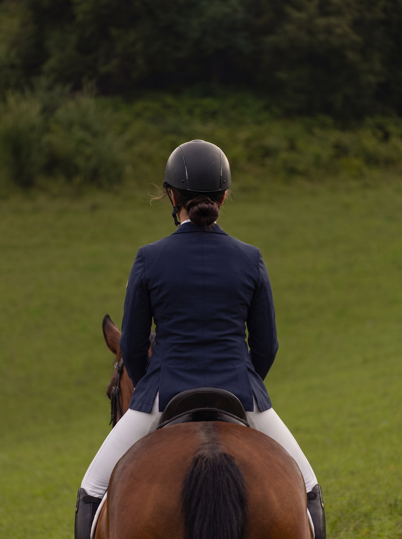 Rider in Navy Jacket on Bay Horse