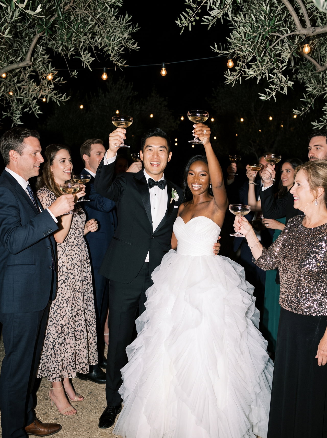 Wedding Reception Toast Under String Lights
