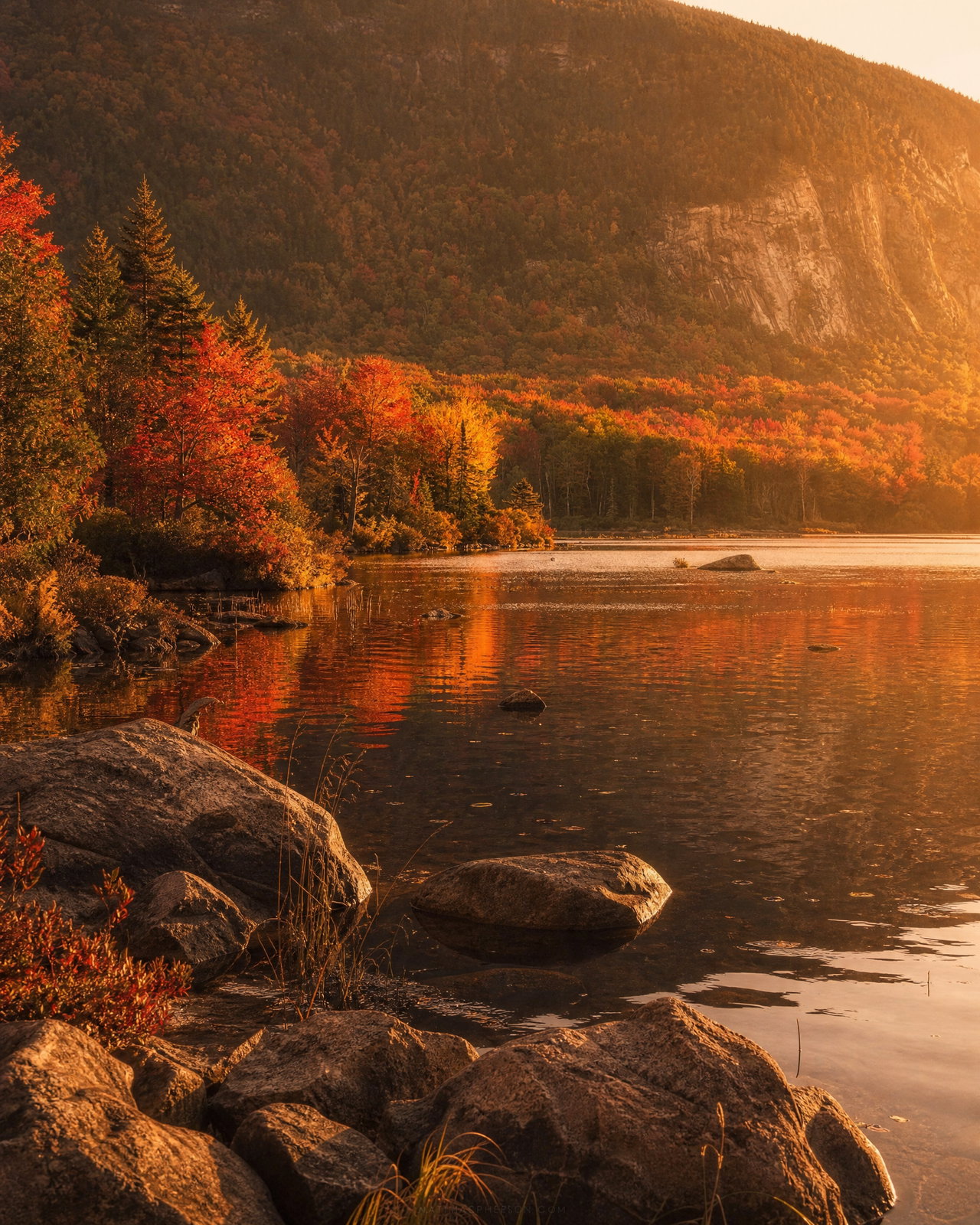 Autumn Lake Landscape with Golden Reflections